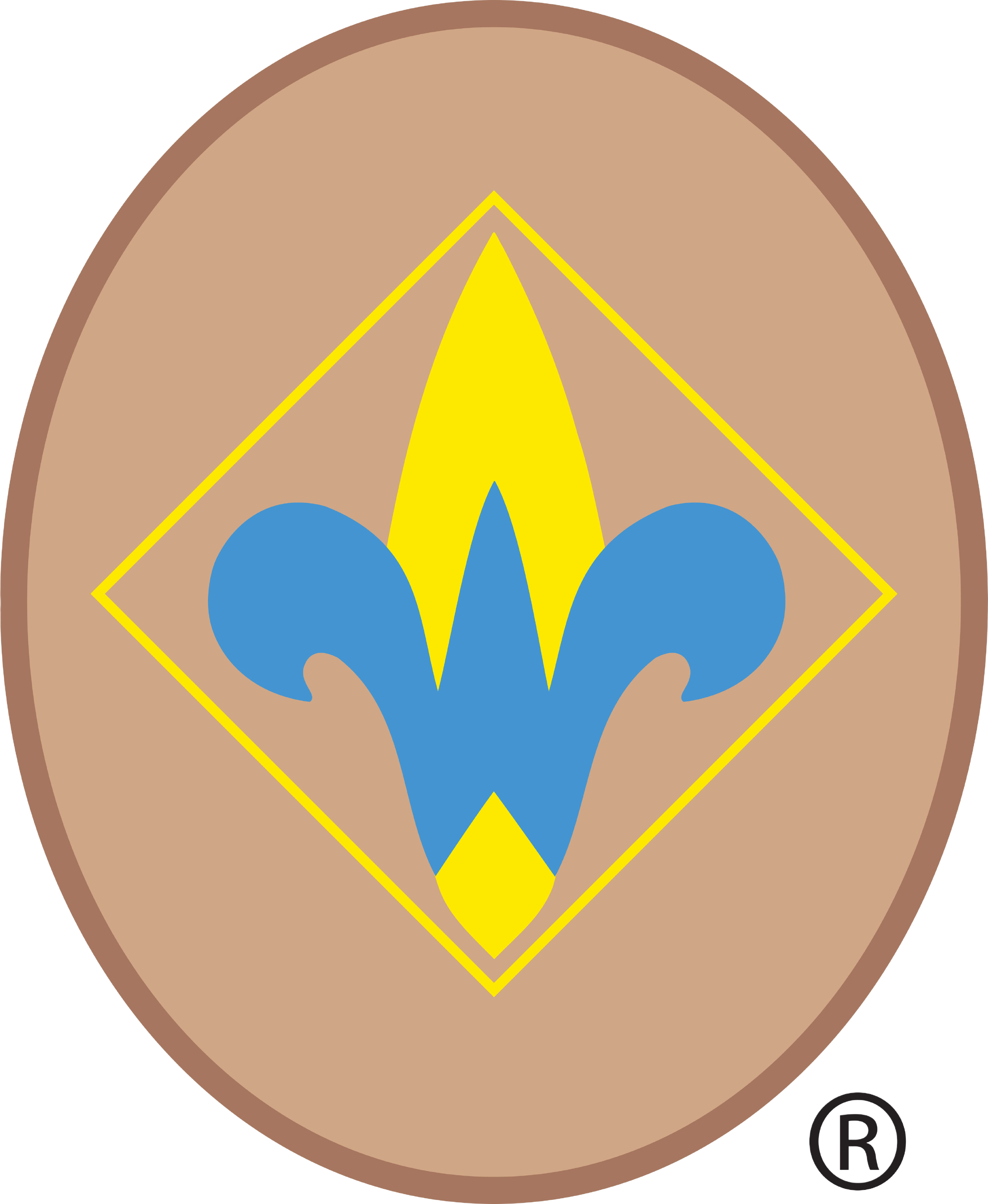 Webelos (4th Grade) rank patch