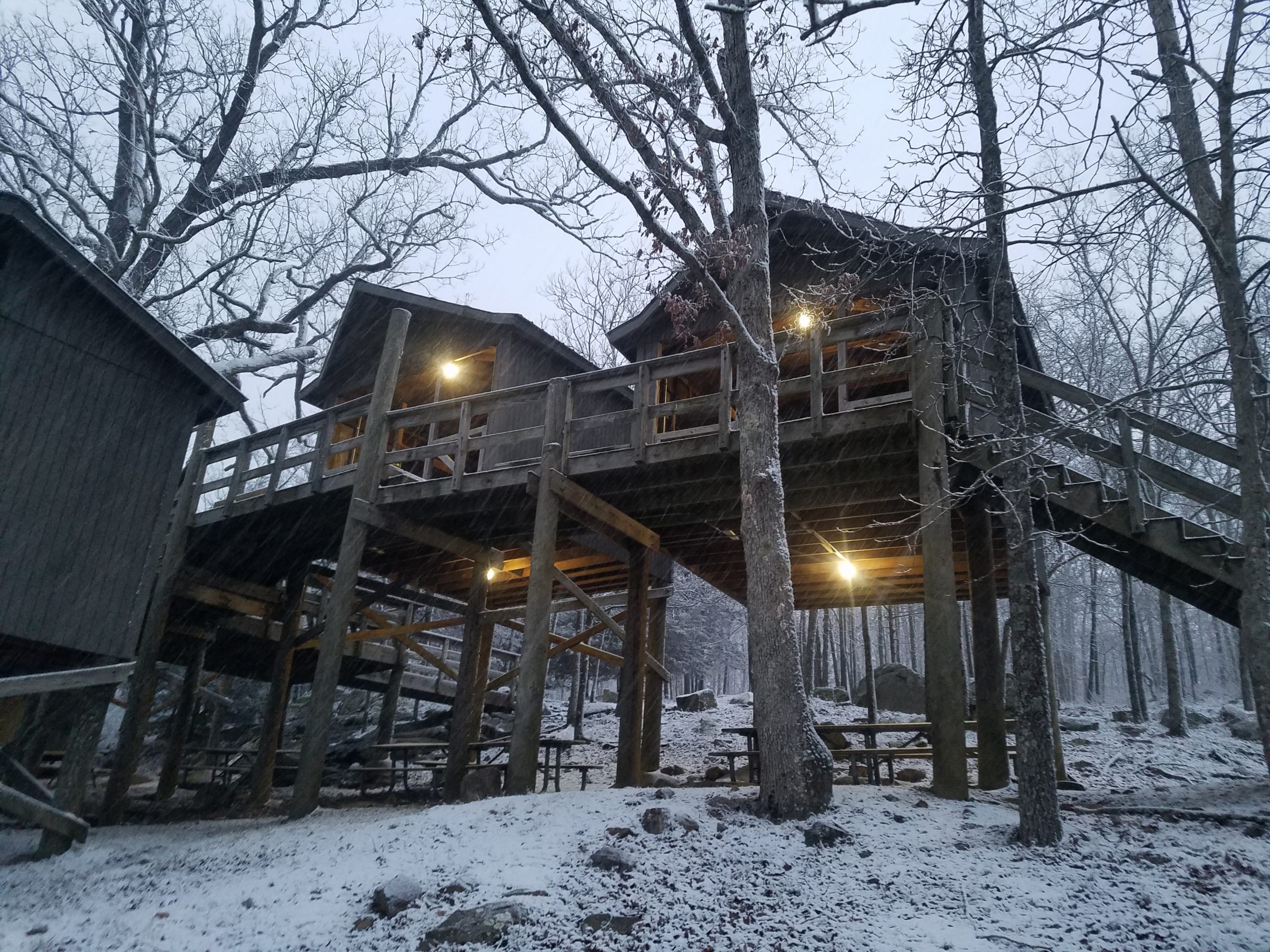 treehouse2-scaled.jpg